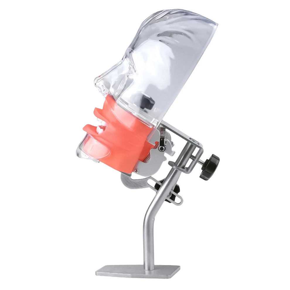 Dental Phantom Head Manikin Model with 28Pcs/32Pcs Teeth Typodont and FE Articulator Compatible with Nissin Kilgore